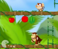 Маймунка в беда