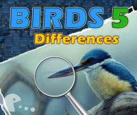 Птици 5 разлики