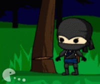 Нинджа доставка